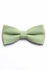 Pajarita verde salvia para hombre
