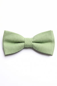 Pajarita verde salvia para hombre