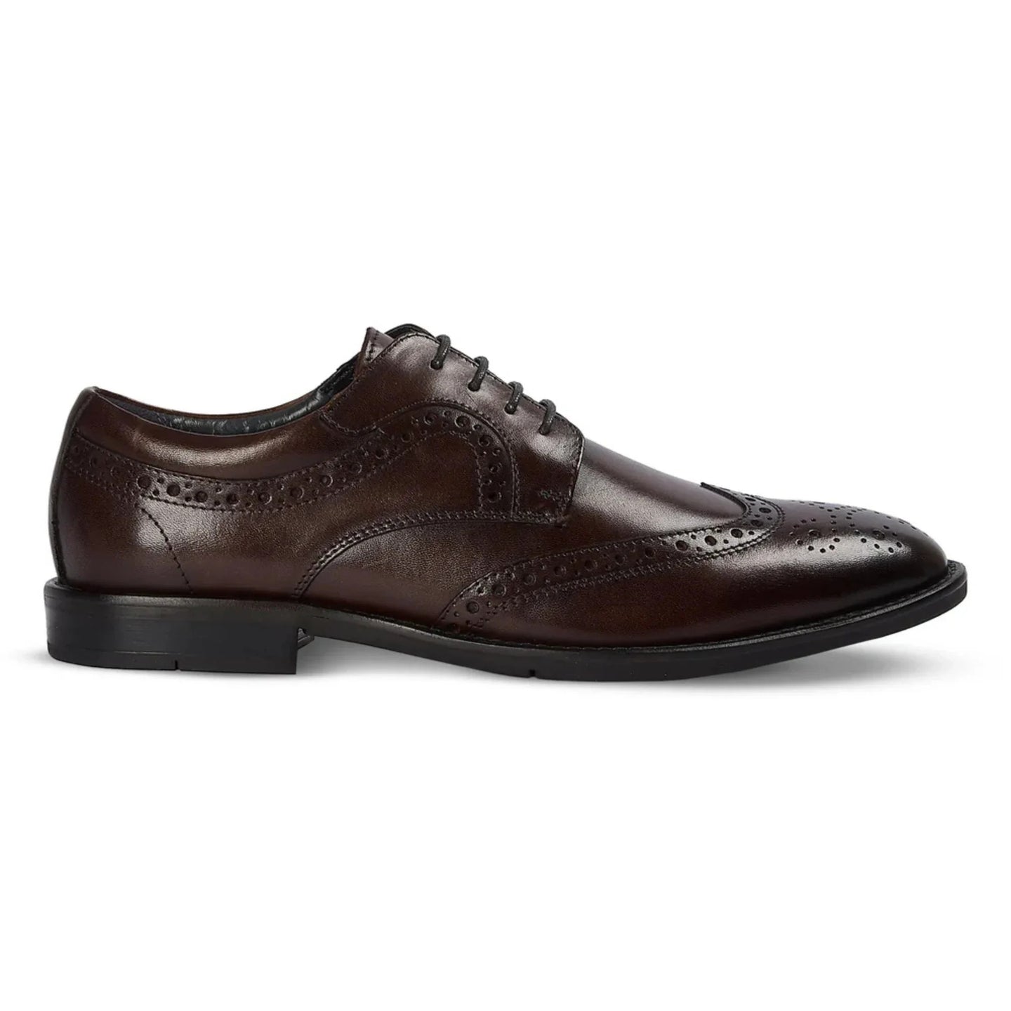 Cambridge - Zapatos Derby Brogue Wingtip para hombre, color marrón oscuro
