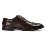 Cambridge - Zapatos Derby Brogue Wingtip para hombre, color marrón oscuro