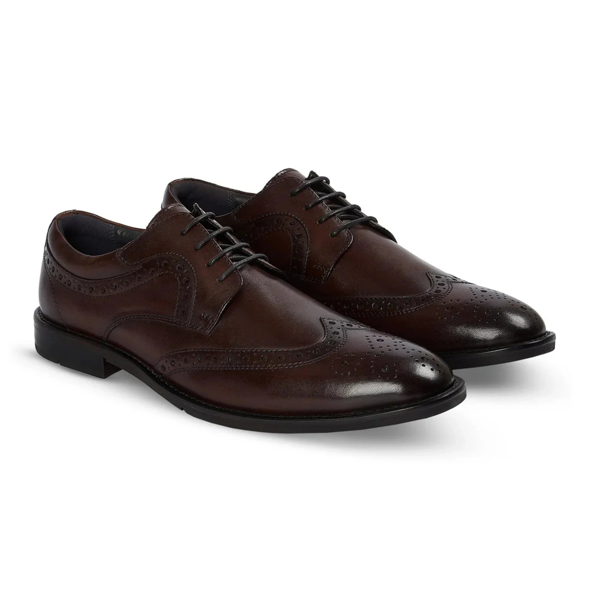 Cambridge - Zapatos Derby Brogue Wingtip para hombre, color marrón oscuro