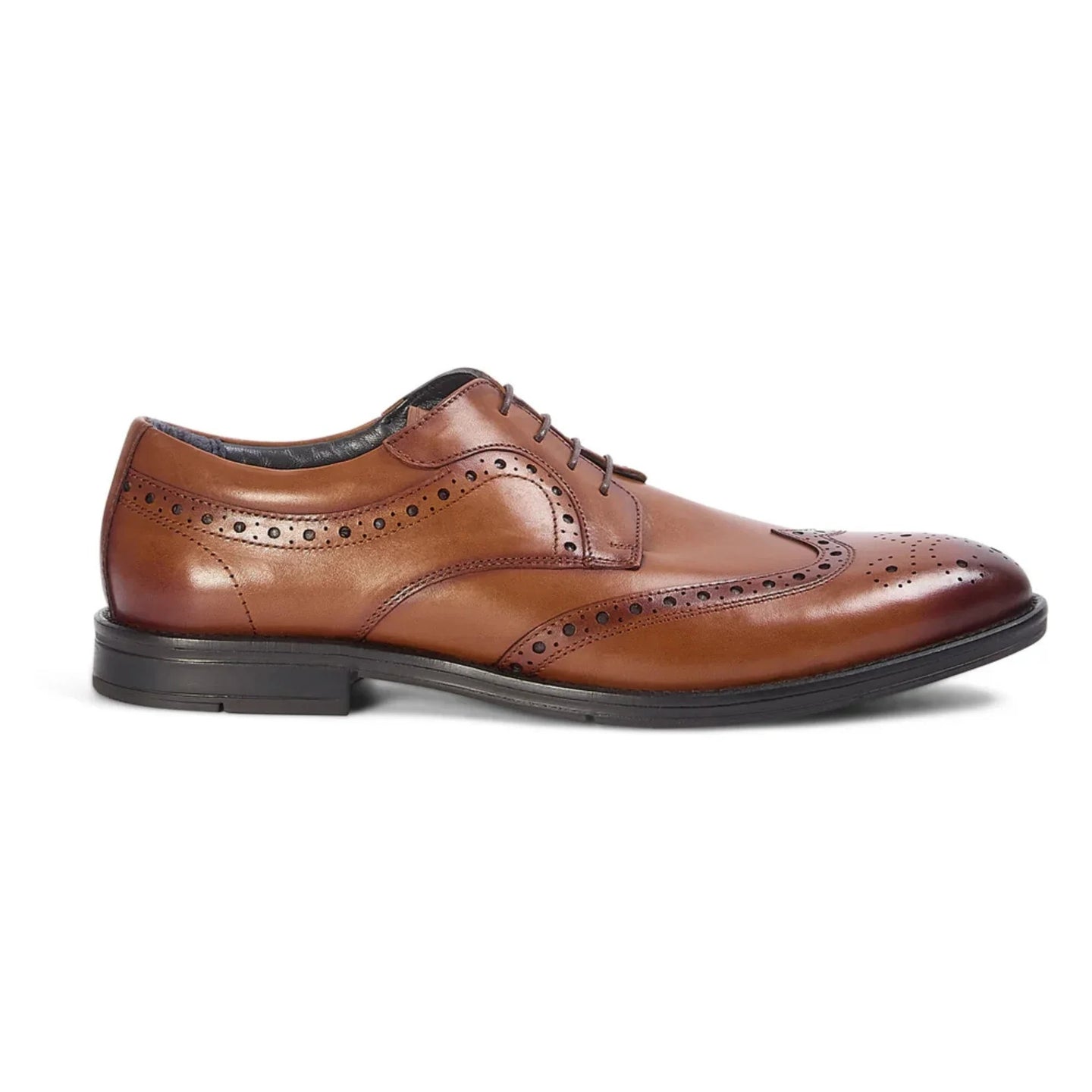 Cambridge - Zapatos Derby Brogue Wingtip para hombre en color marrón claro